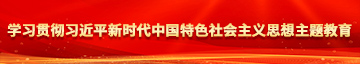 女人艹逼黄色网站学习贯彻习近平新时代中国特色社会主义思想主题教育